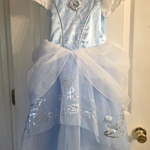 Disney Blue and Silver Princess Dress